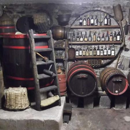 I Chechin - Homy 5 Terre Apartment Volastra Bagian luar foto