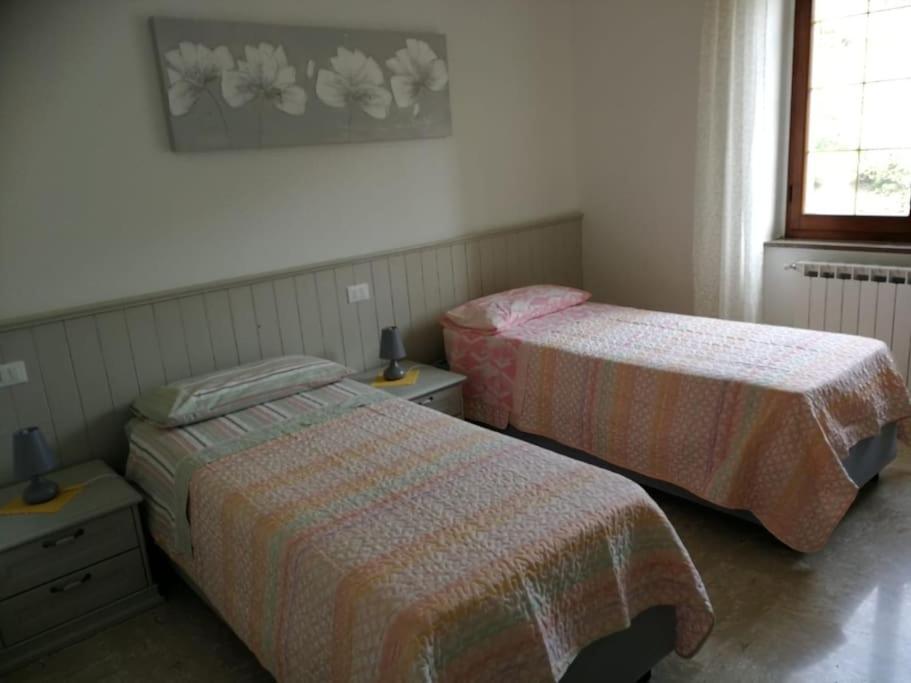I Chechin - Homy 5 Terre Apartment Volastra Bagian luar foto
